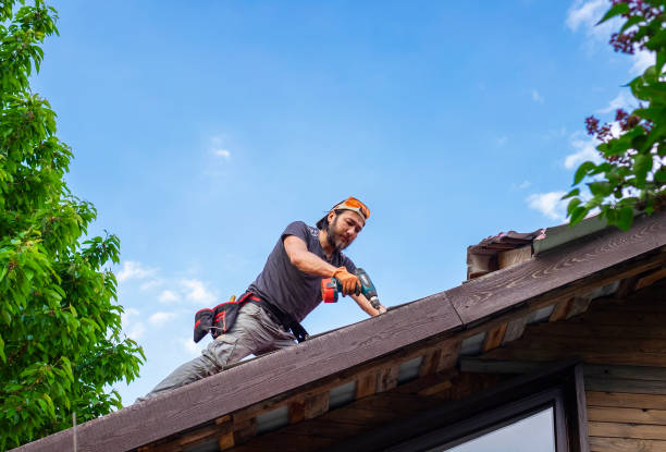 Best Solar Panel Roofing Installation  in Buda, TX