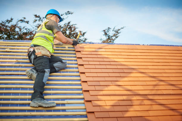 Best Roof Insulation Installation  in Buda, TX
